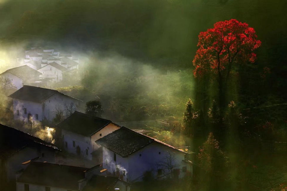 《秋色》 蒋鸣 摄.jpg