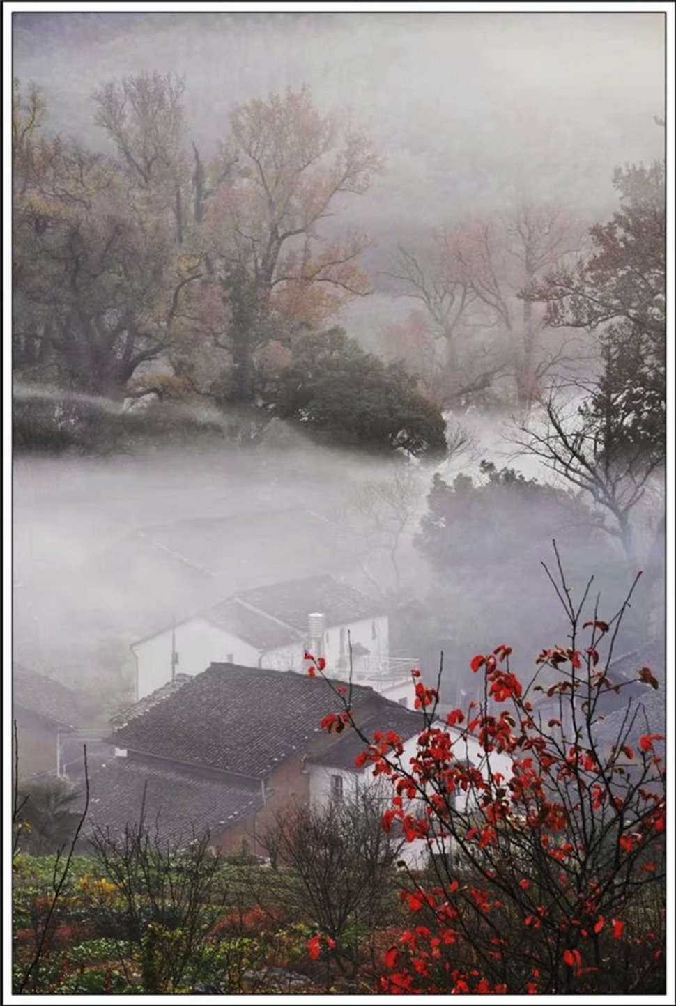 《石城梦里山村》 贾诚 摄.jpg