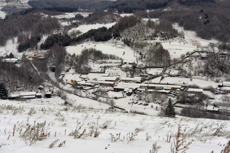 《水墨雪村》 雷爱云摄.jpg