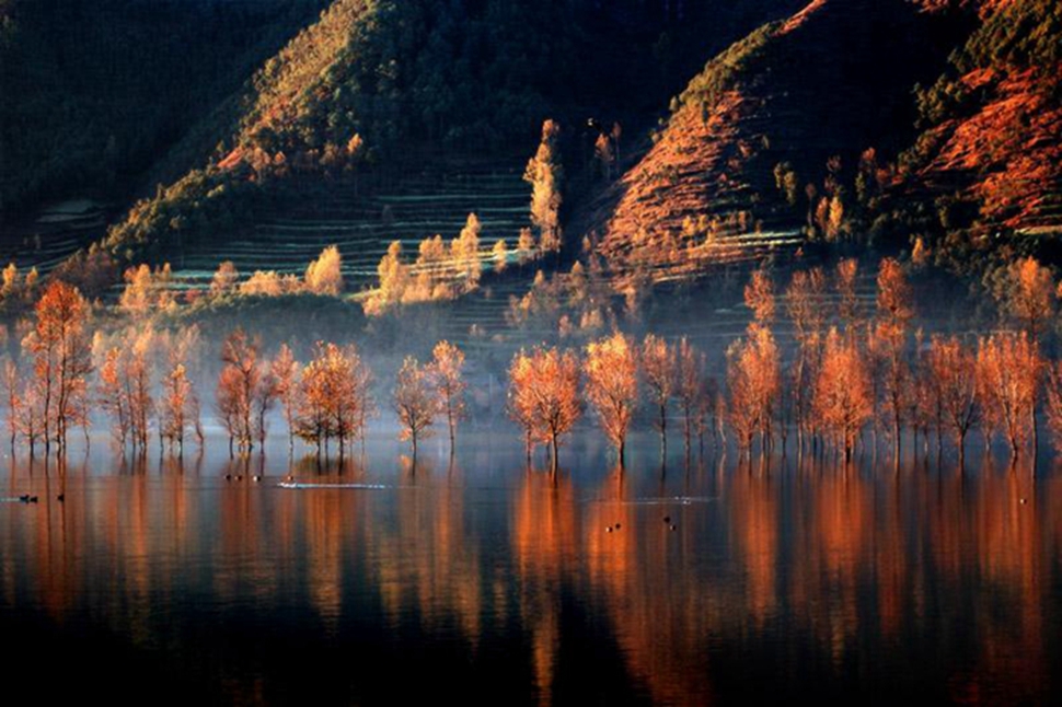 念湖 (2).jpg