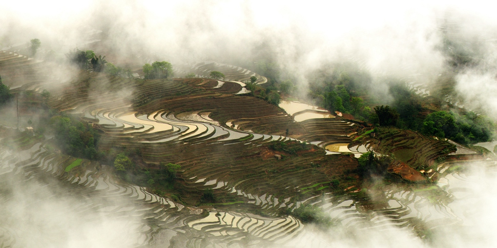 云上梯田--何建.jpg