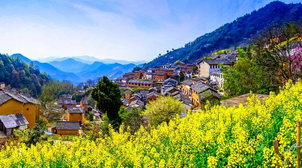 阳产.jpg