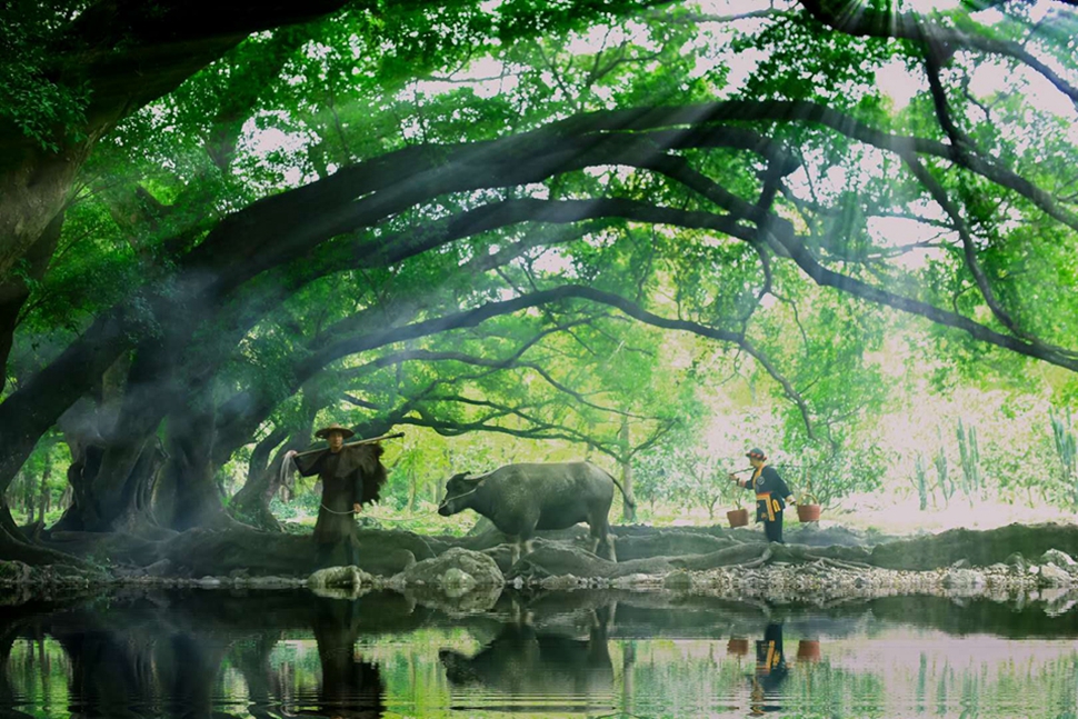 《水漫杨家溪》顾正勤摄.jpg
