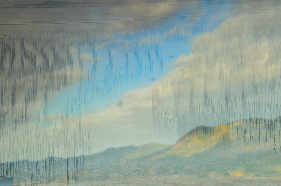 《天水各色》 顾正勤.jpg