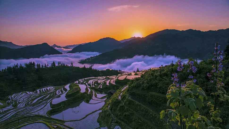 27《梯田晨曦》 拷贝.jpg