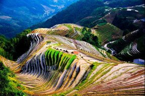 龙脊梯田梳秧节风光摄影团