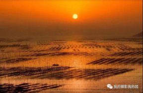 霞浦海带季人文摄影团