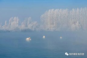 冬韵新疆摄影团