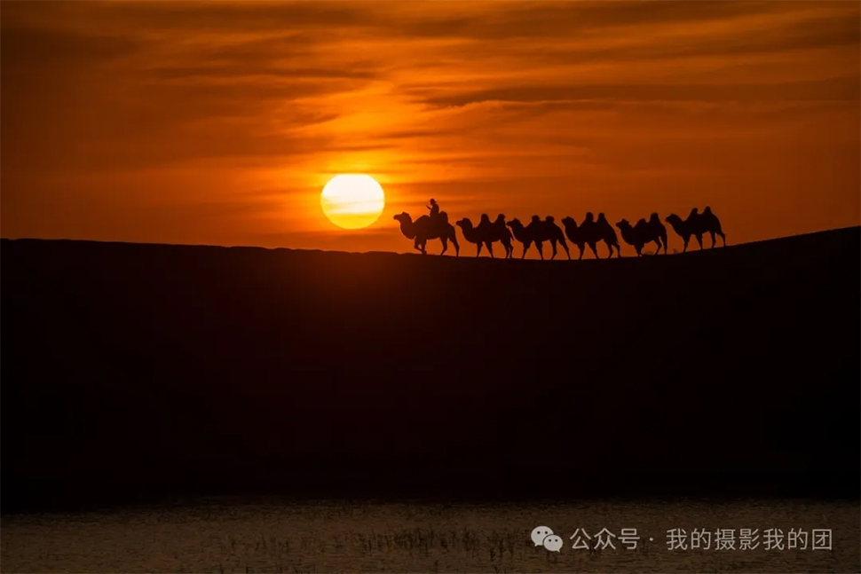 未标题-1.jpg