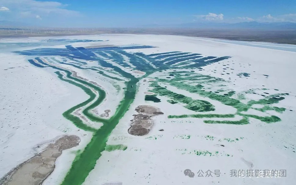 微信图片_20240722091722.jpg