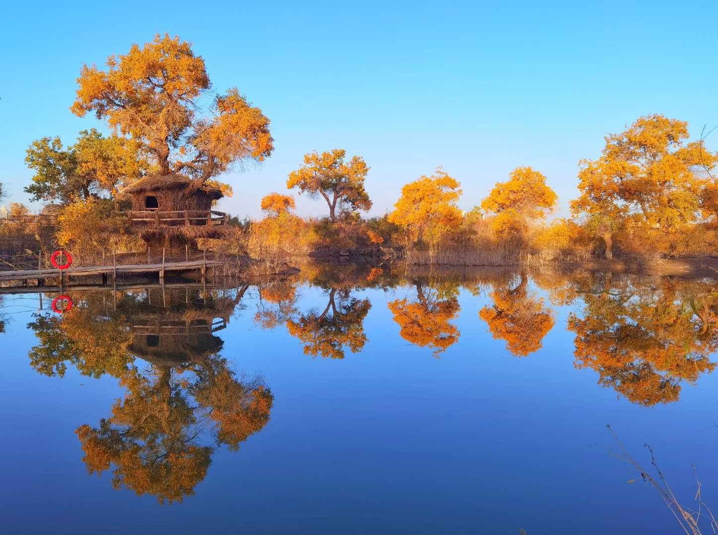 钟永兴 摄.jpg