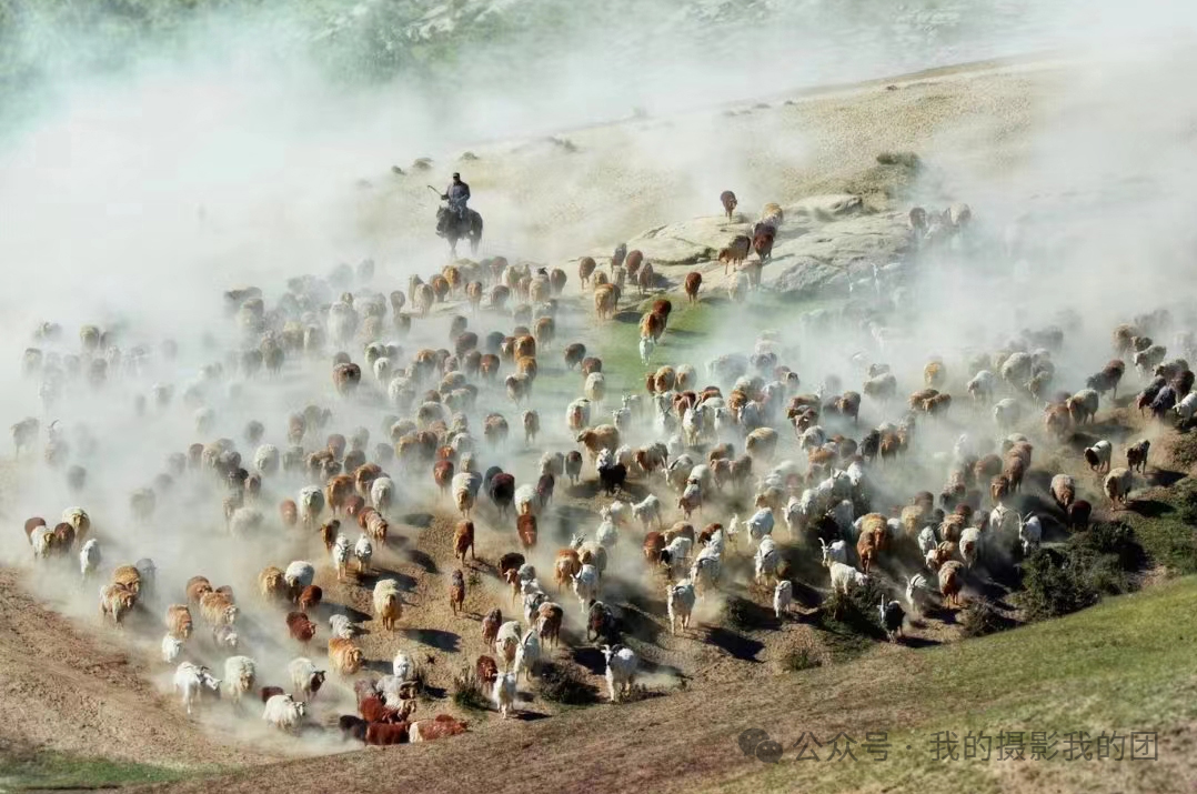 微信图片_2026-04-02_103509_071 拷贝.jpg