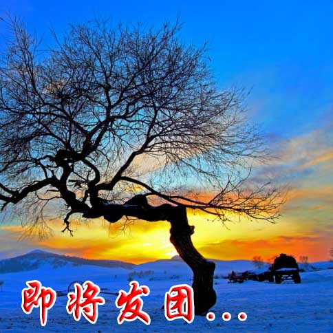 【冬季坝上5日采风团】“我的摄影我的团”2580元冬季坝上摄影采风团