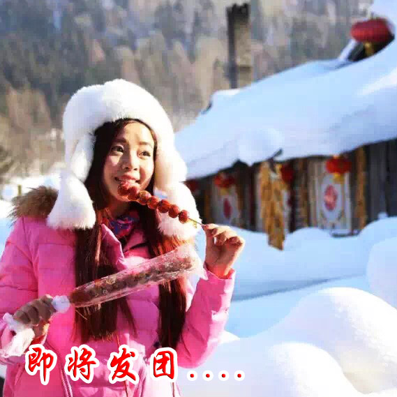 “我的摄影我的团”与哈尔滨市摄影家协会联合组织高端大气上档次东