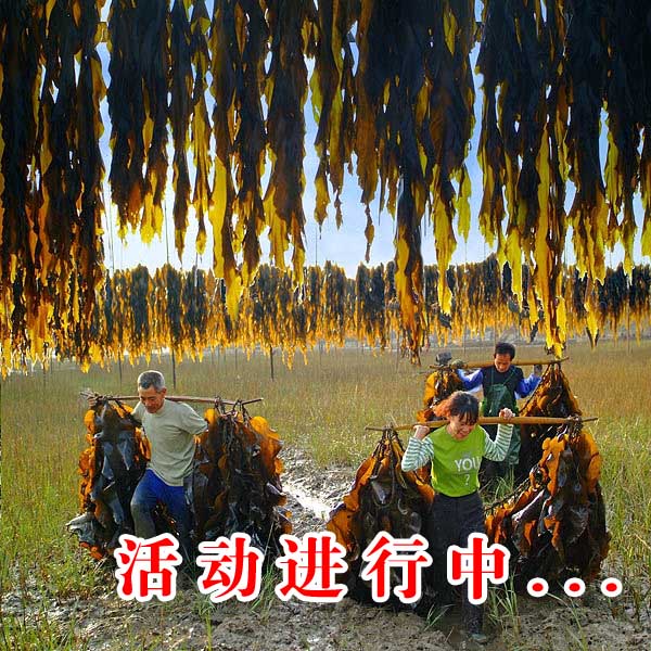 第二届“影像中国梦 ”采风摄影大赛之春季丽水霞浦惠安土楼摄影采风