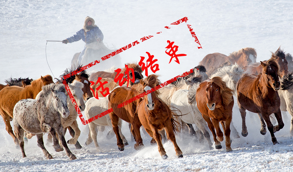 【确定发团·全国招募】冬摄坝上雪域奔马、野狼谷专场、金山岭长城摄