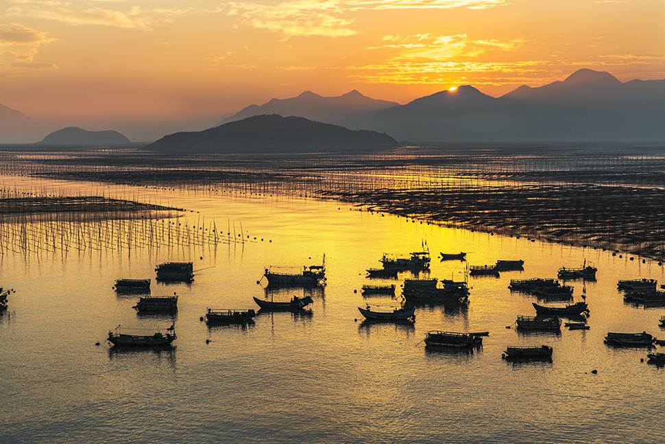 春季霞浦滩涂(海带季)