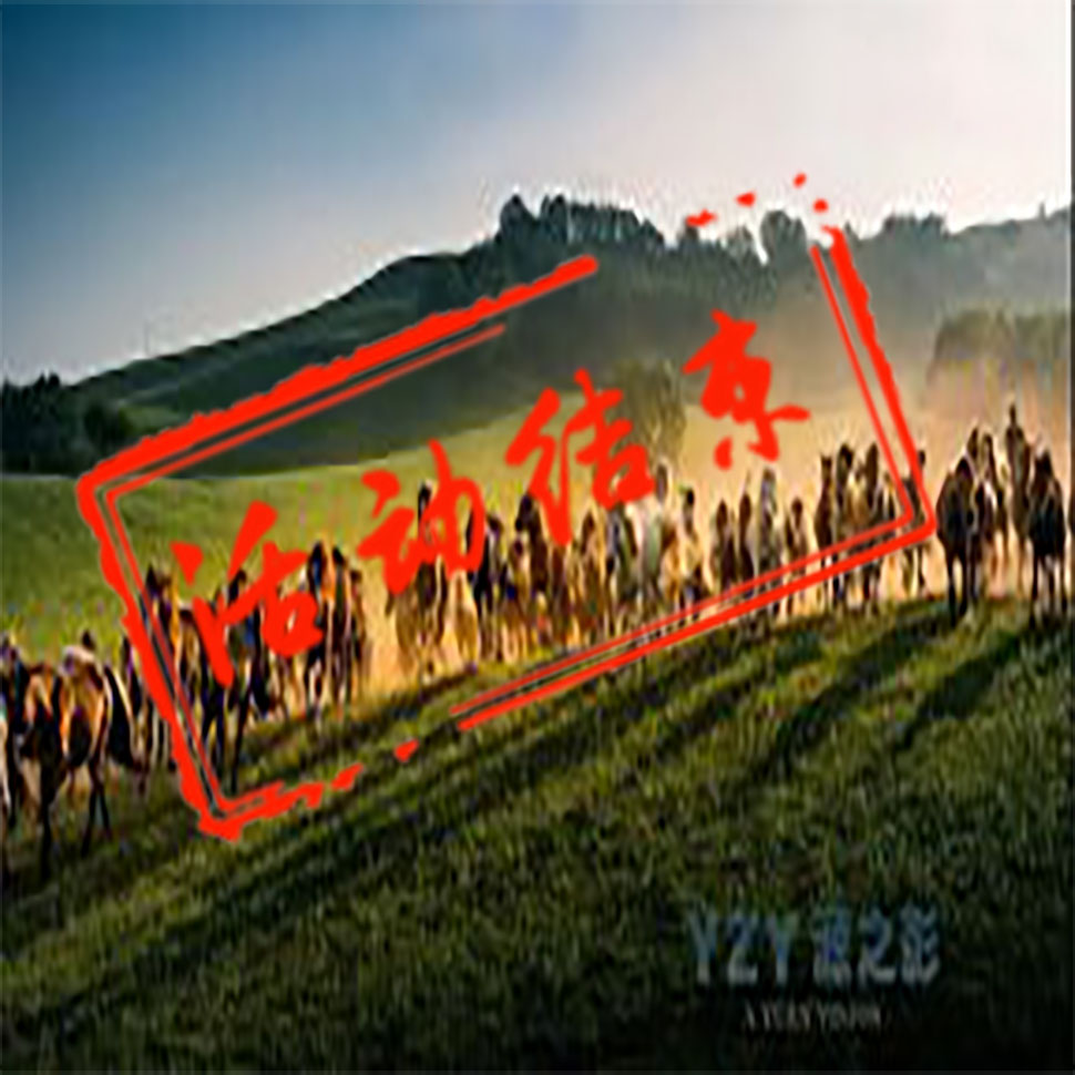 坝上草原马文化节摄影团