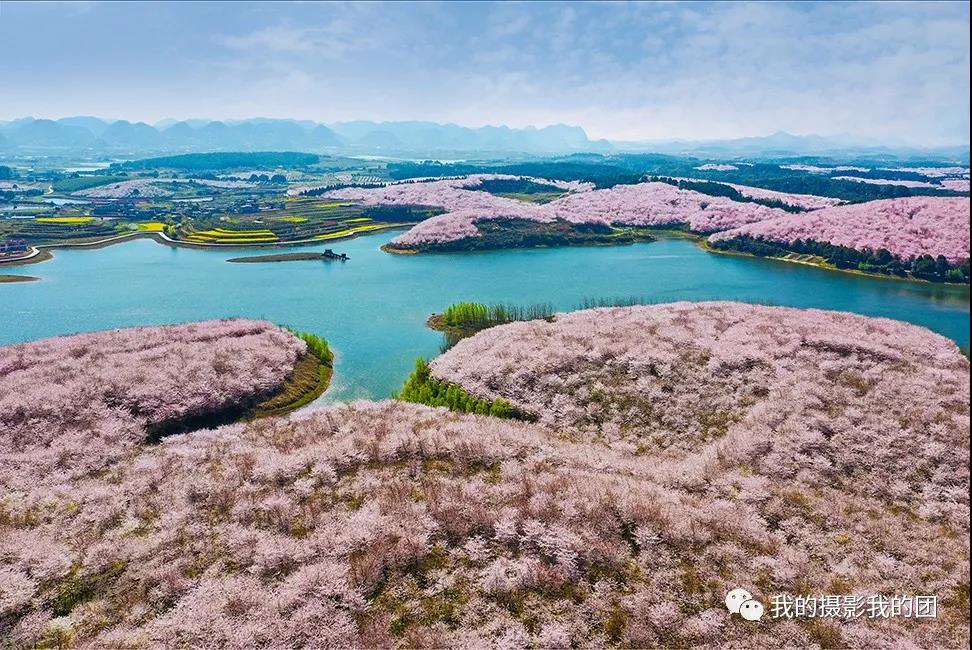 平坝樱花摄影团