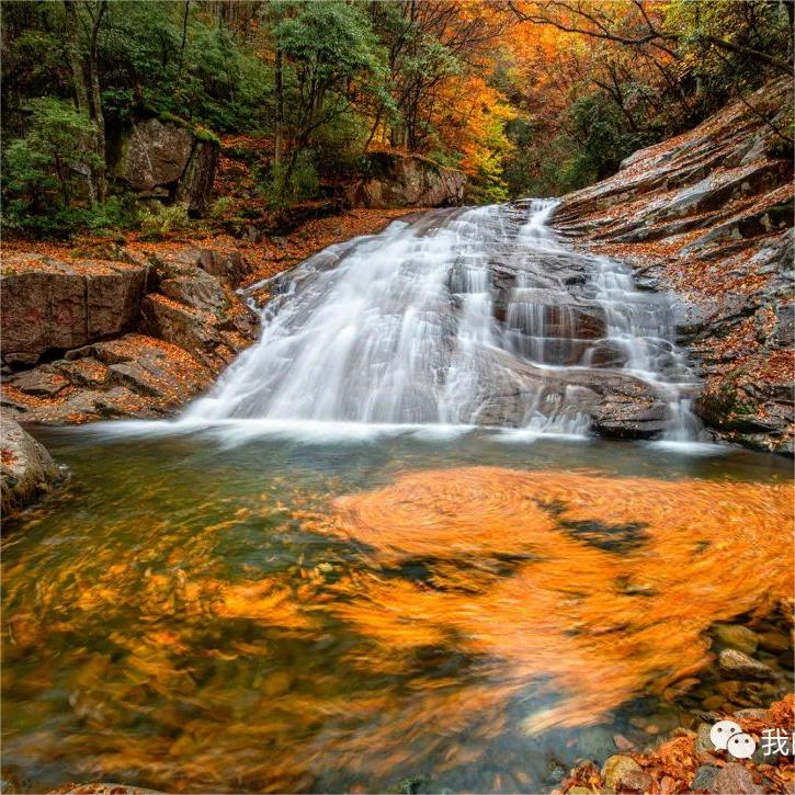 秋染光雾山摄影团