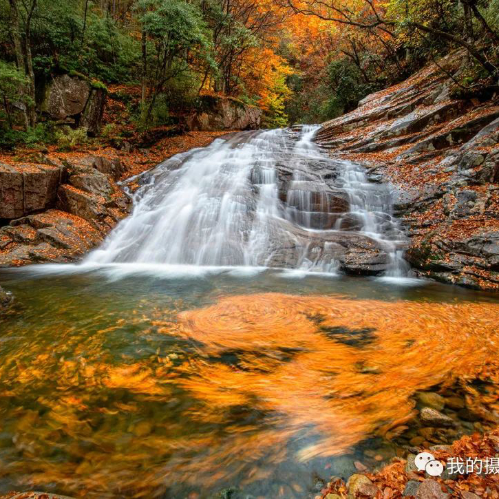 秋染光雾山摄影团