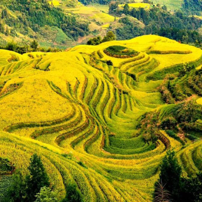 秋摄广西摄影团