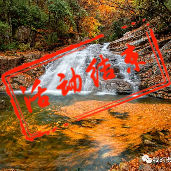 秋染光雾山摄影团