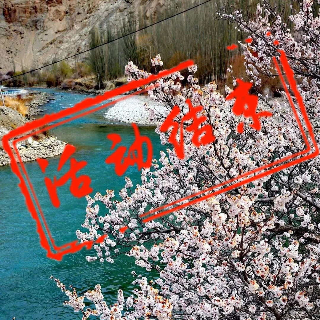 南疆春色摄影团