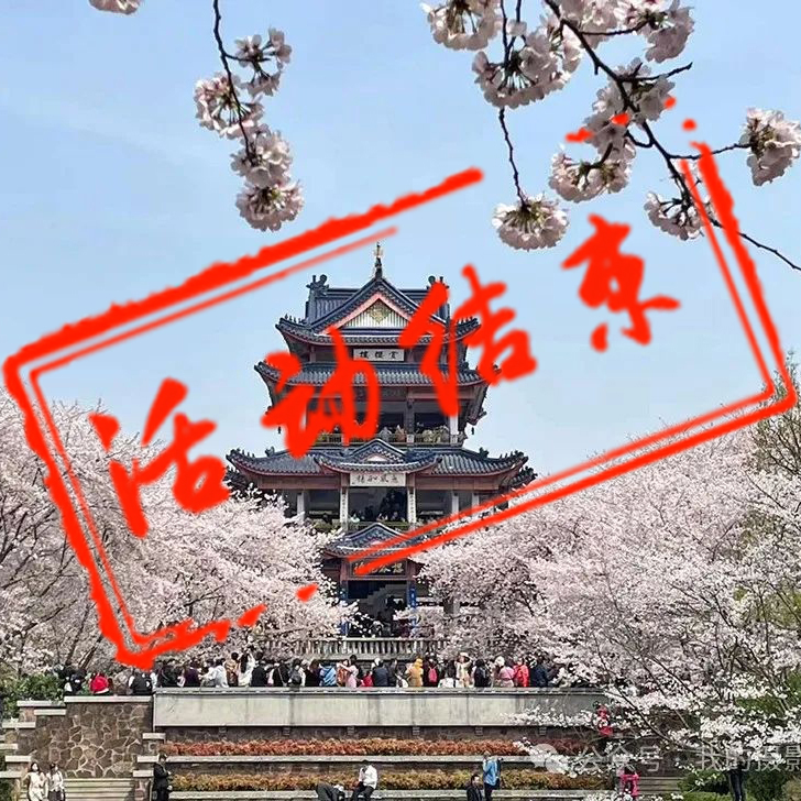 春摄江南摄影团