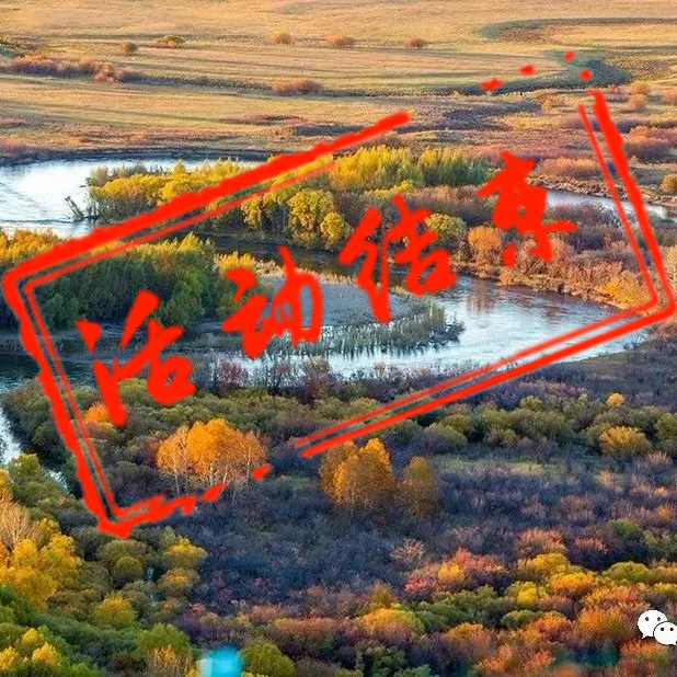 一路向北 • 秋摄大兴安岭摄影团