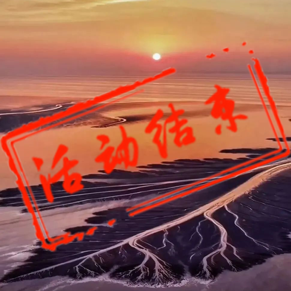 钱塘江追潮摄影团