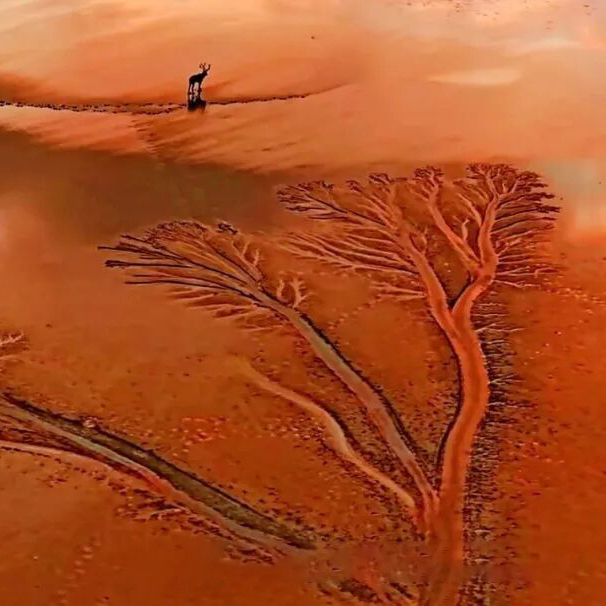 条子泥＋钱塘江追潮摄影团