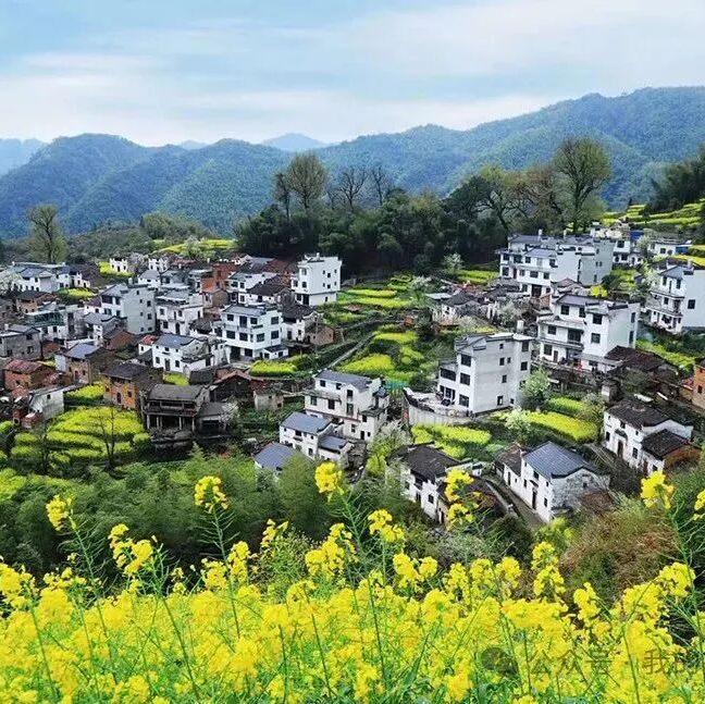皖南婺源摄影团