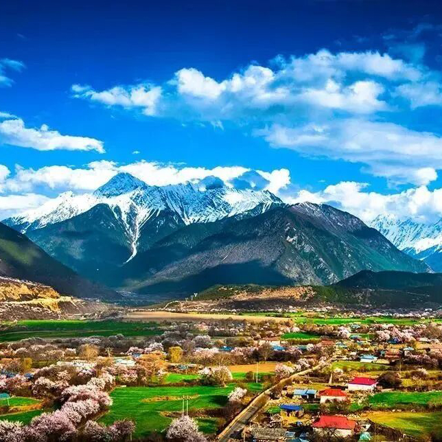 藏地春色摄影团