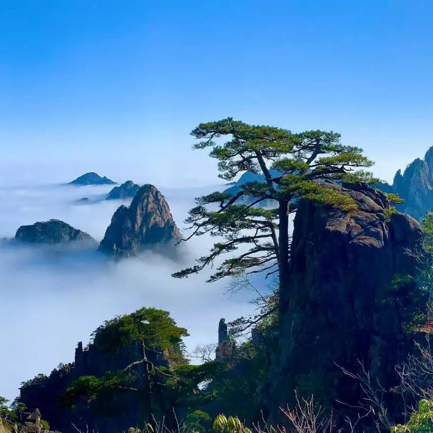 冬韵黄山摄影团