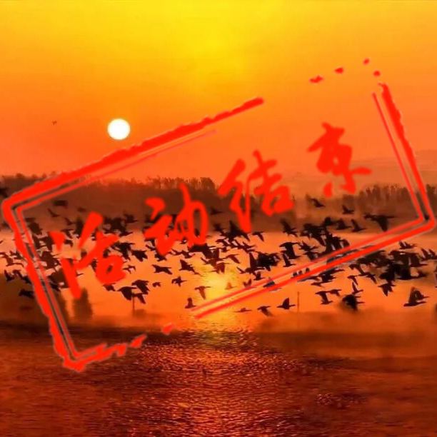 冬摄东营黄河口摄影团