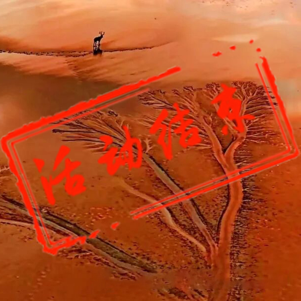 条子泥＋钱塘江追潮摄影团