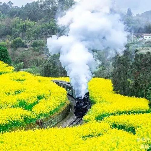 川西春色摄影团