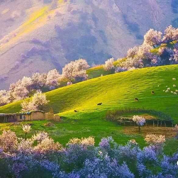 早春新疆摄影团