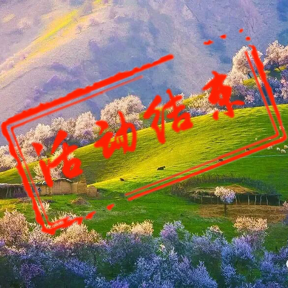 早春新疆摄影团