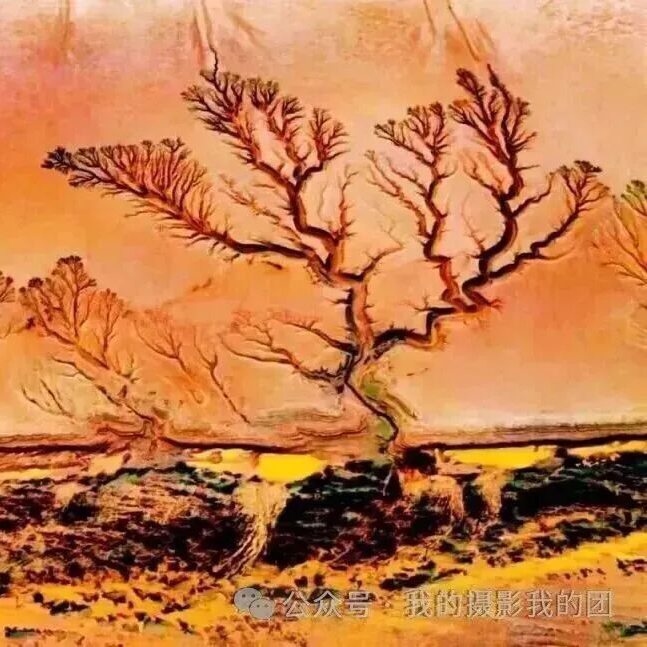 钱塘江追潮航拍摄影团