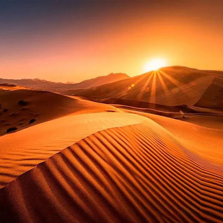 寻大漠光影摄影团