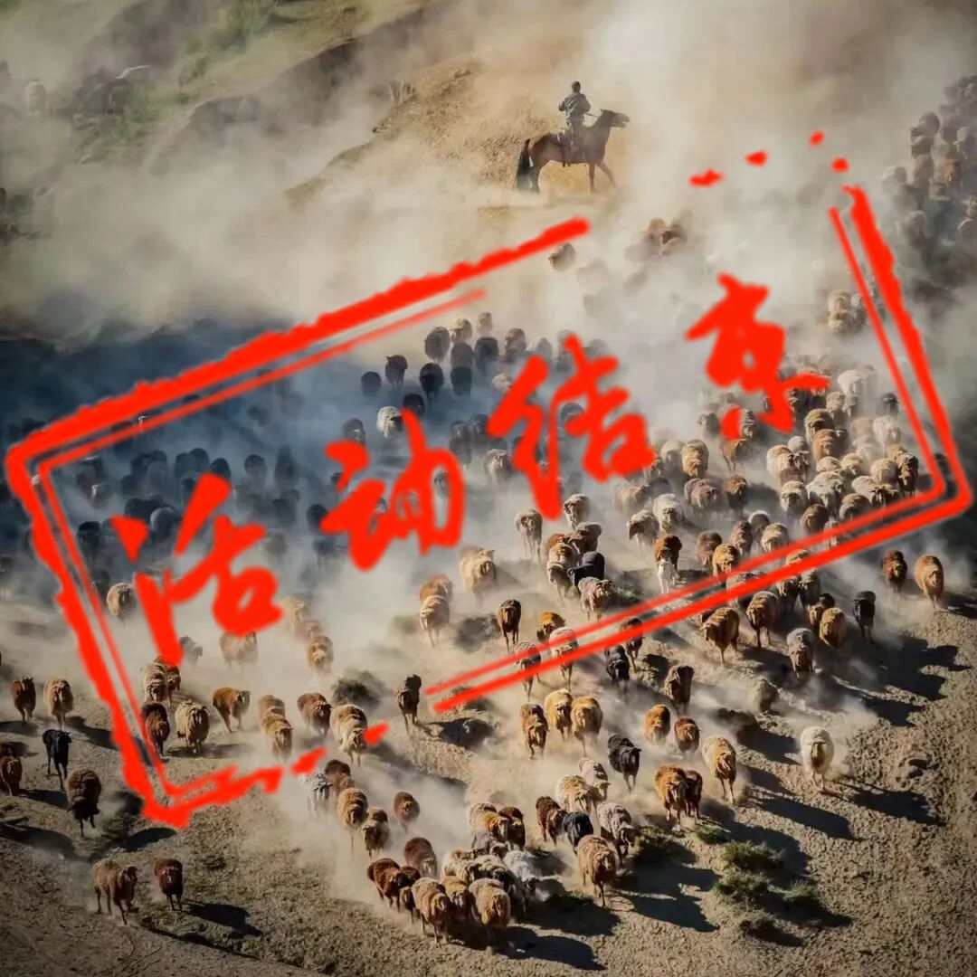 阿勒泰牧民大转场摄影团