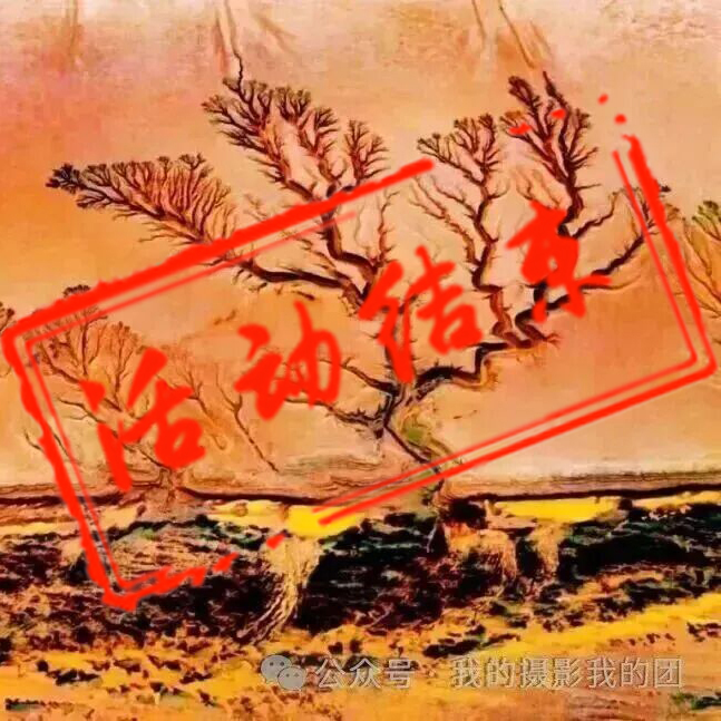 钱塘江追潮摄影团