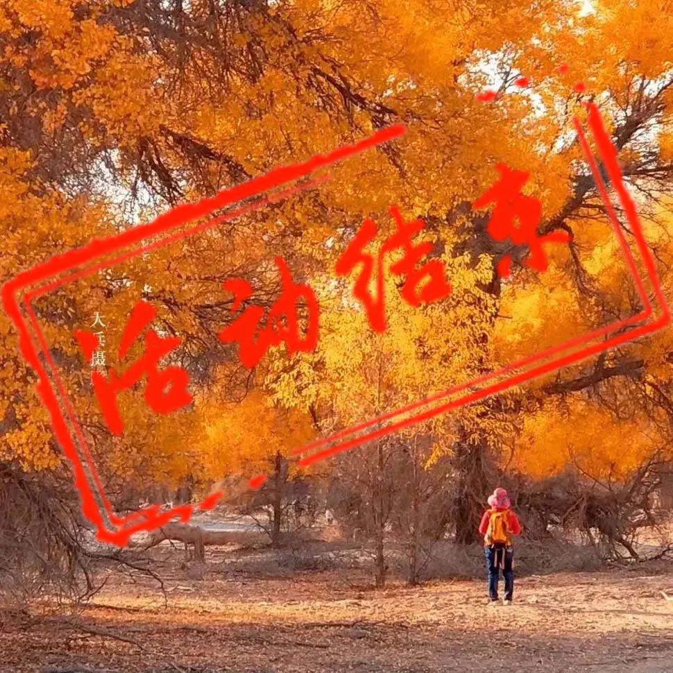 魅力南疆摄影团